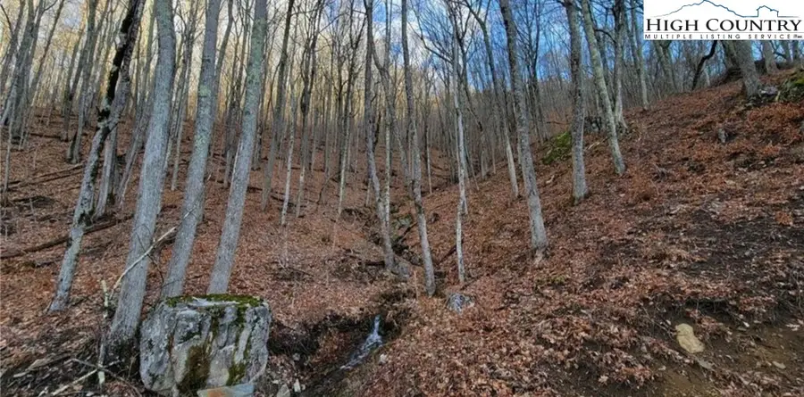 G56 Sky Camp Road, Banner Elk, NC 28604 - Image #3