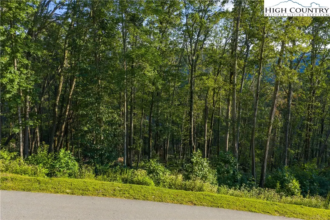 C52 Firefly Cove, Banner Elk, NC 28604 - Image #1