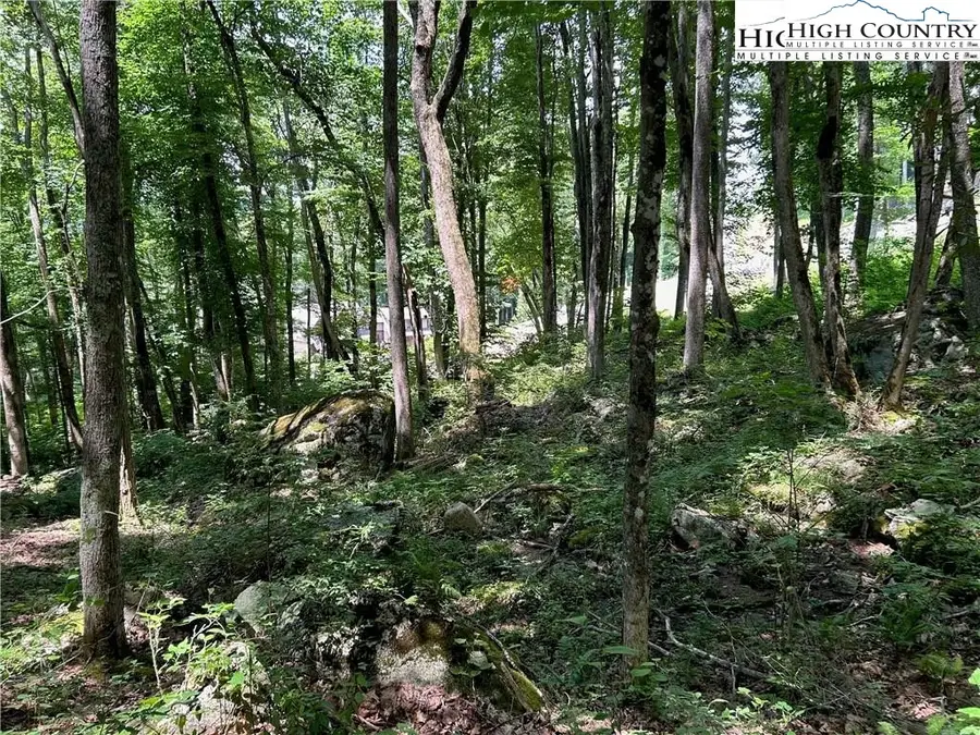 C52 Firefly Cove, Banner Elk, NC 28604 - Image #2