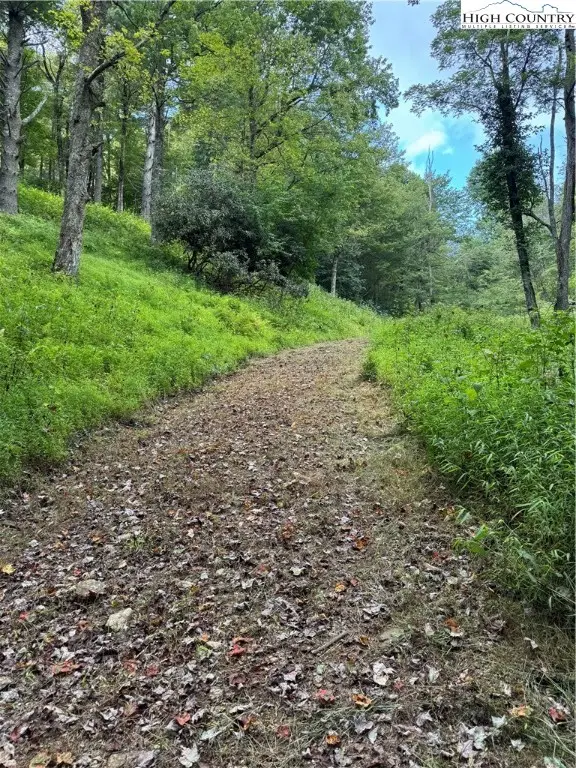 TBD Wyeth Drive, Blowing Rock, NC 28605 - Image #3