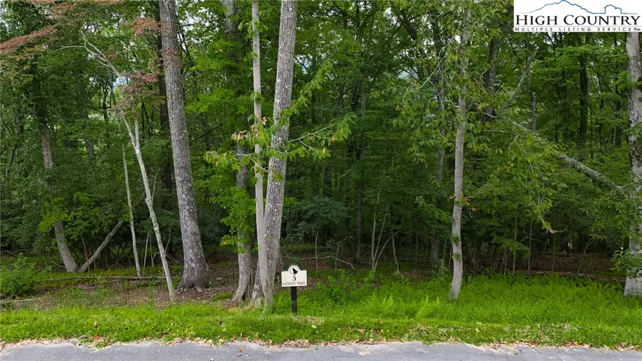Lot T5 Coyote Trail, Boone, NC 28607 - Image #3
