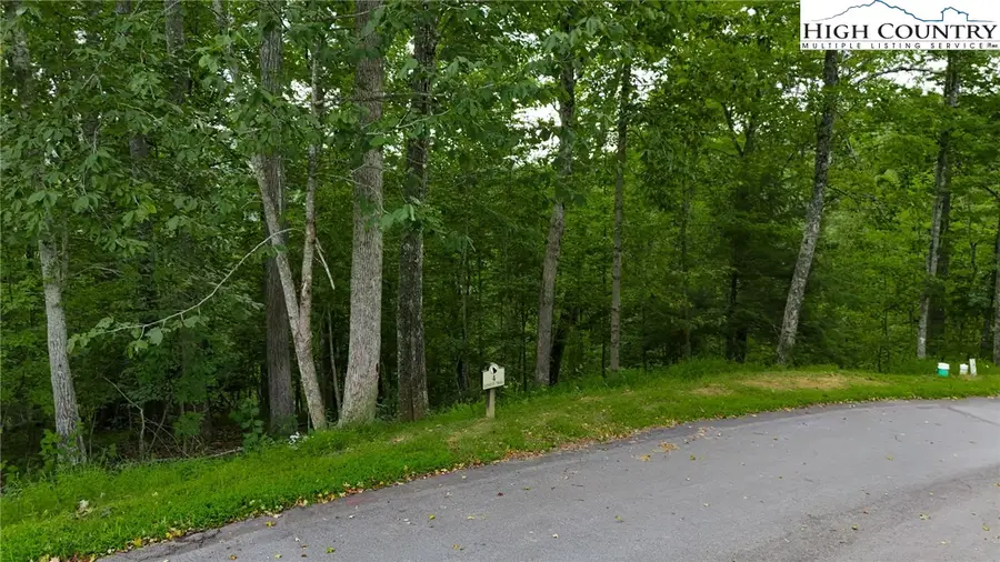 Lot T4 Coyote Trail, Boone, NC 28607 - Image #3