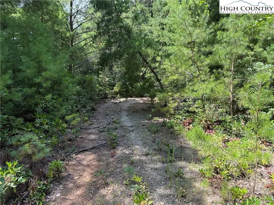 Lot 163 Staghorn Road, Purlear, NC 28665 - #3