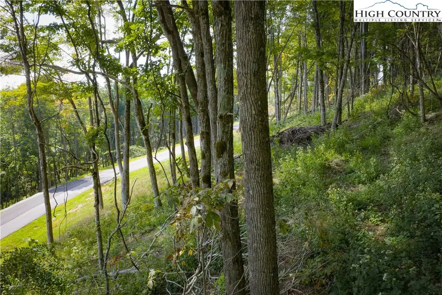 Lot 25 Poplar Forest Drive, Boone, NC 28607 - Image #3