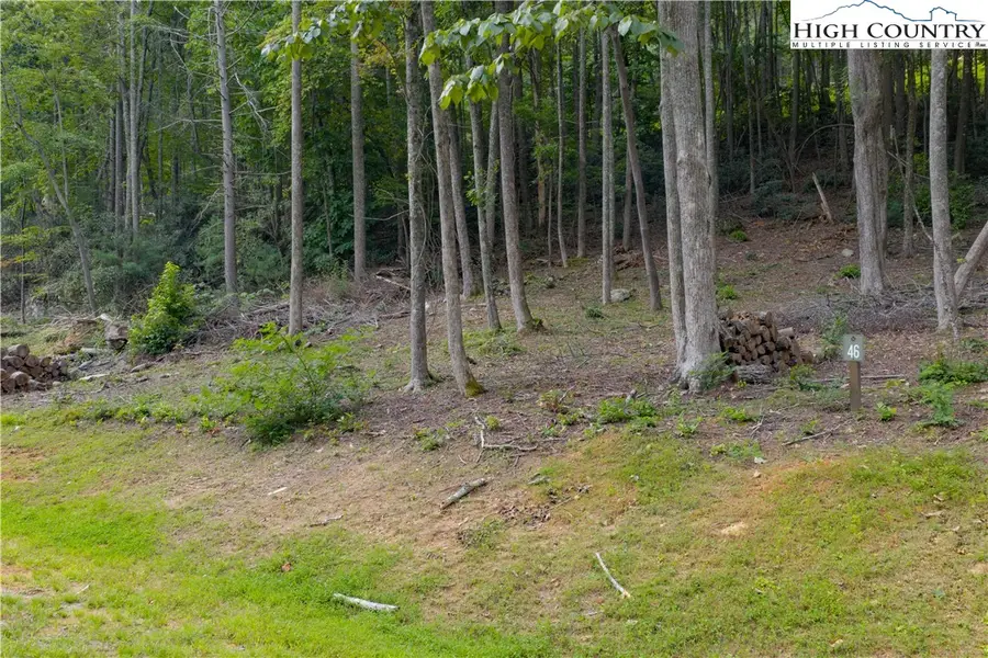 Lot 46 Wildcat Wilderness Parkway, Deep Gap, NC 28618 - Image #3