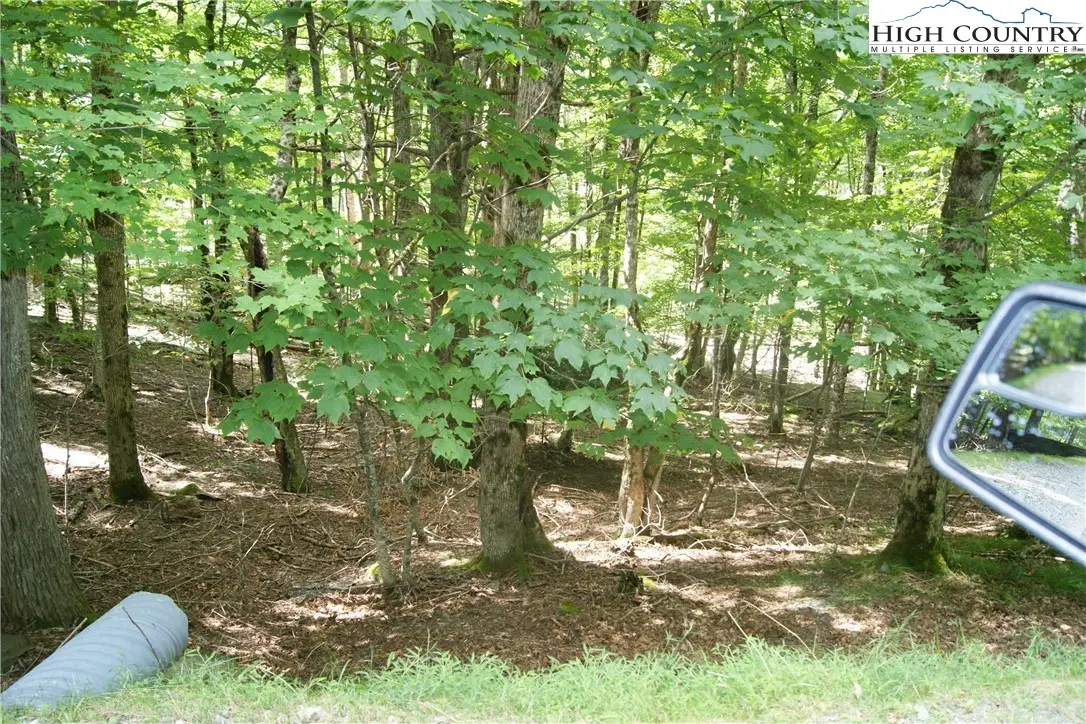109 Lower Grouse Ridge Road, Beech Mountain, NC 28604 - Image #1