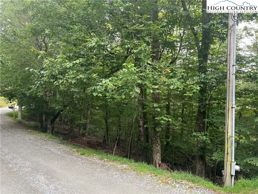 117 Lower Grouse Ridge Road, Beech Mountain, NC 28604 - Image #3