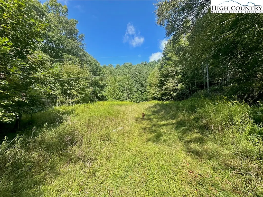 TBD Old Anderson Quarry Road, Vilas, NC 28692 - #1