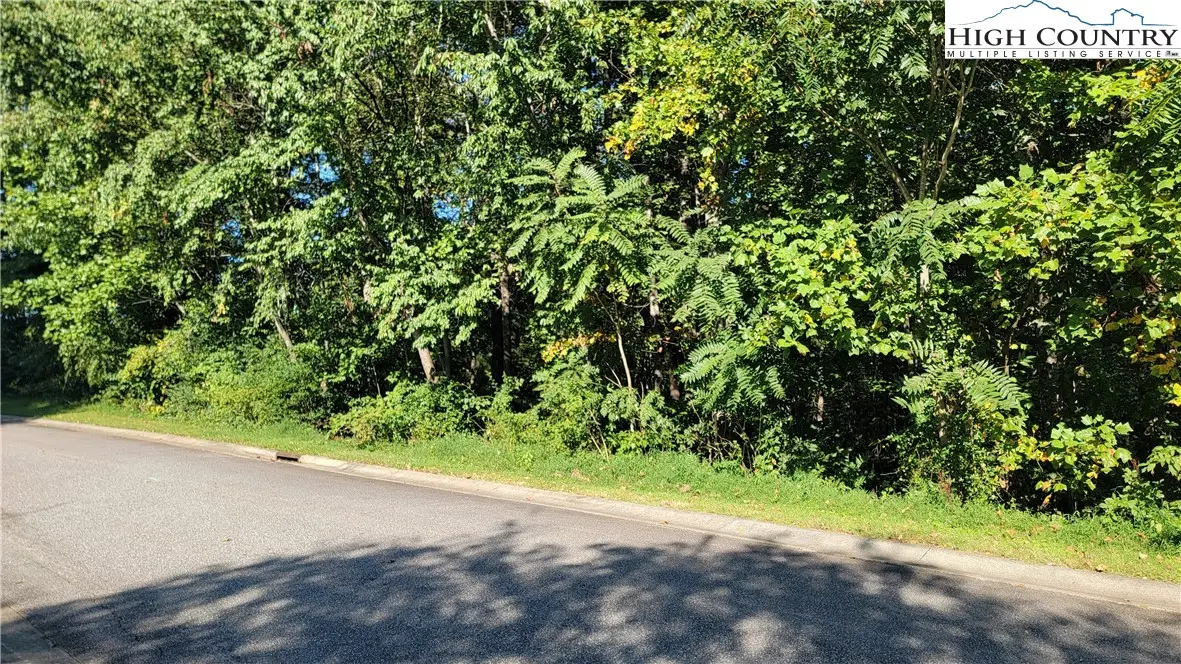 Lot 115 207 Monk Court, North Wilkesboro, NC 28659 - Image #1