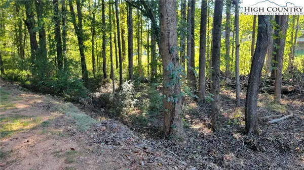 Lot 120 118 Friar Court, North Wilkesboro, NC 28659