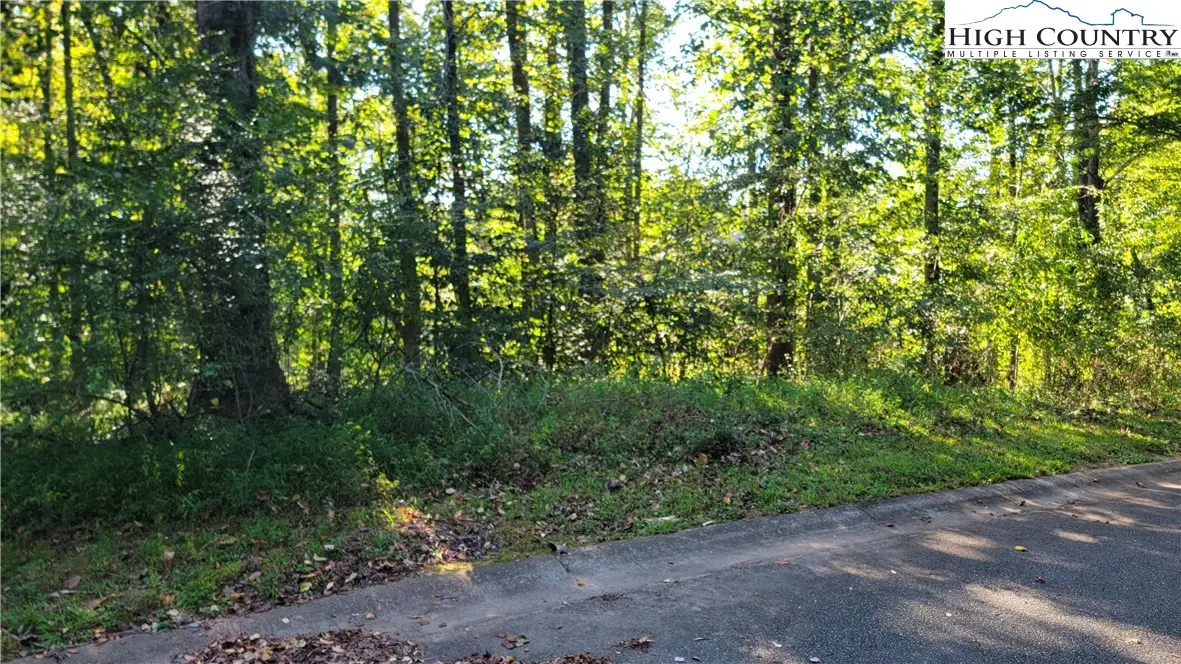 Lot 121 120 Friar Court, North Wilkesboro, NC 28659 - Image #1