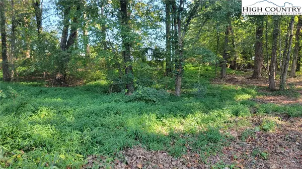 Lot 125 119 Friar Court, North Wilkesboro, NC 28659