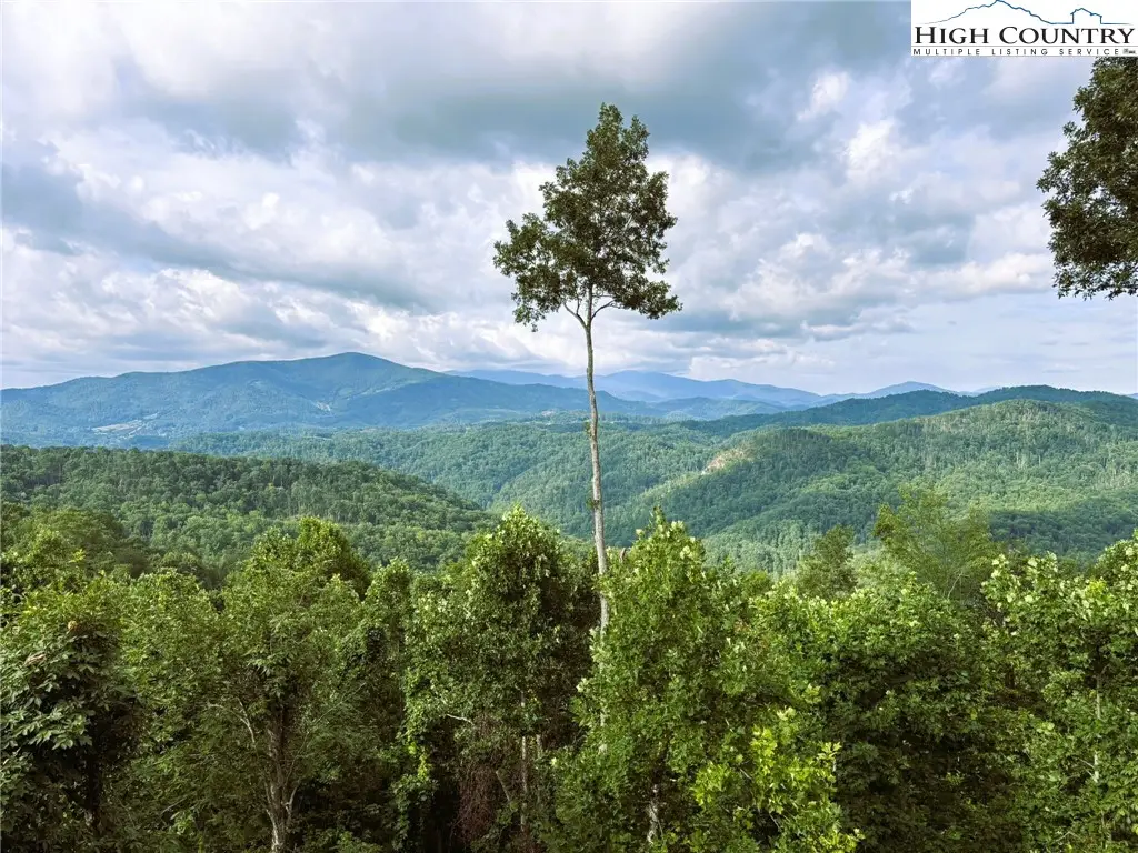 Lot #2A Falls Creek Parkway, Elk Park, NC 28622 - Image #1