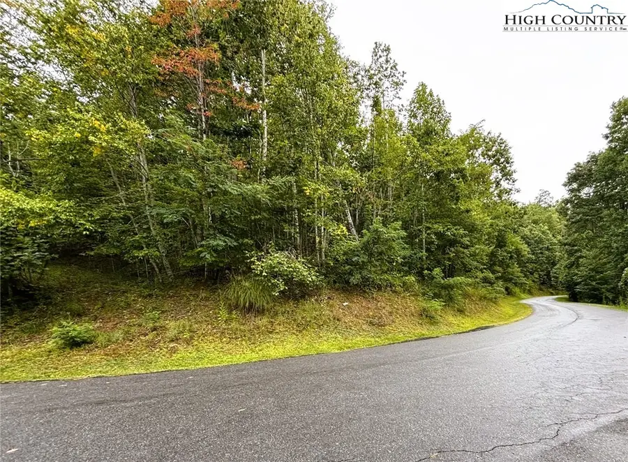 Lot #2A Falls Creek Parkway, Elk Park, NC 28622 - Image #2
