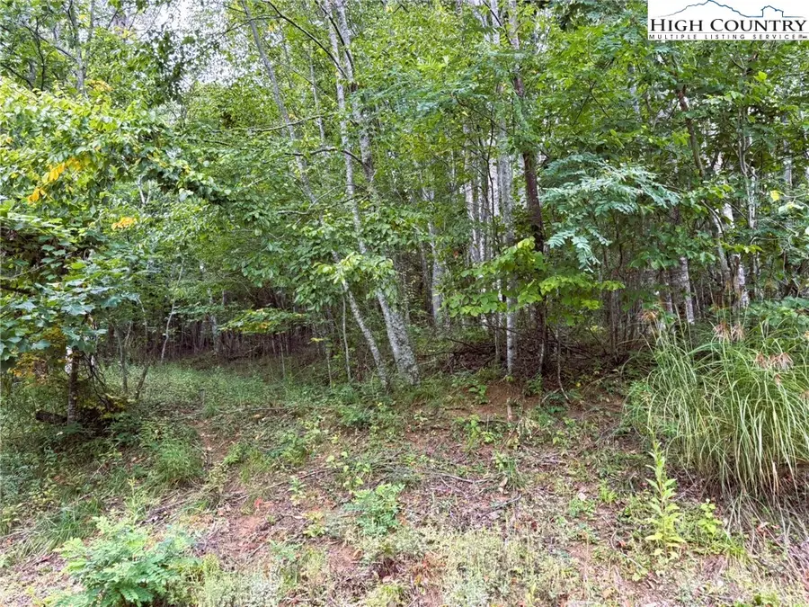 Lot #2A Falls Creek Parkway, Elk Park, NC 28622 - Image #3
