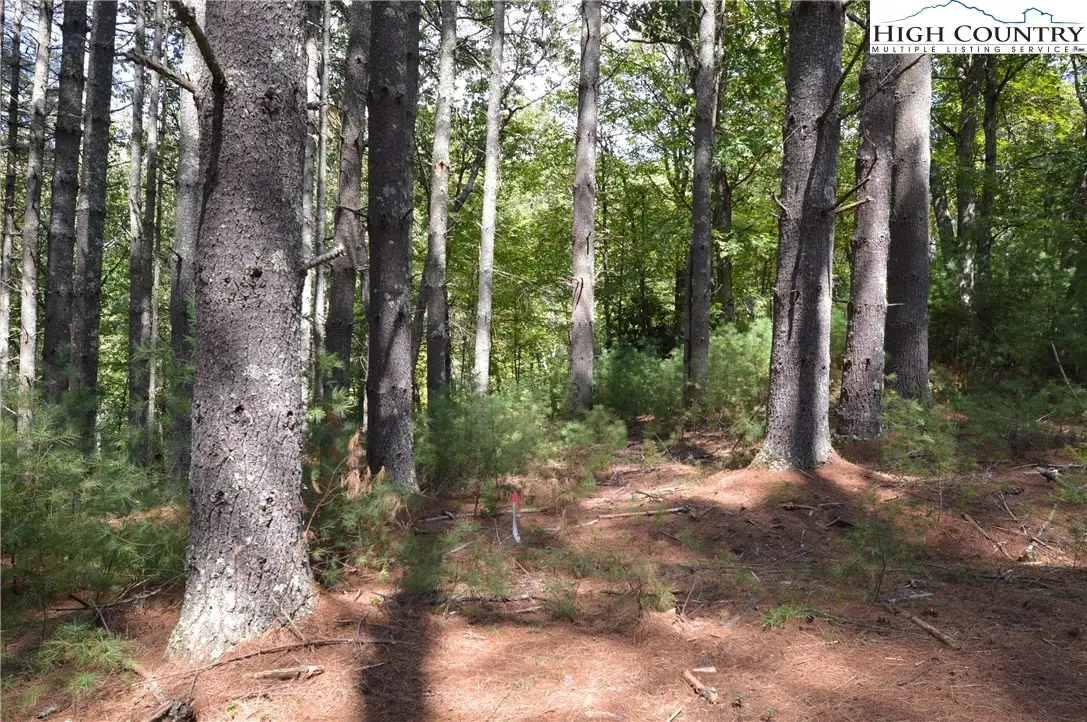 Lot #12 Enchanted Forrest Drive, Piney Creek, NC 28663 - Image #1