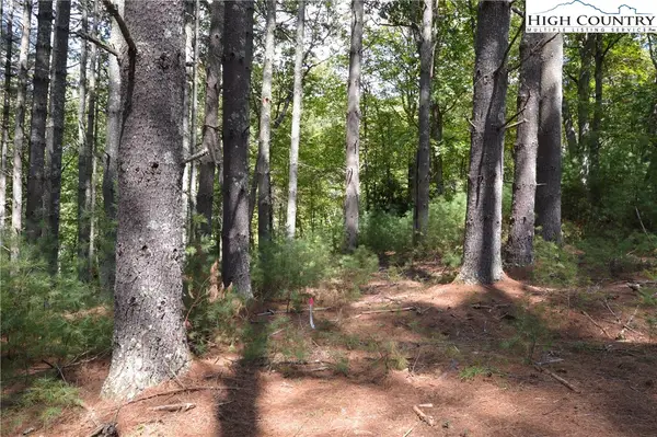 Lot #12 Enchanted Forrest Drive, Piney Creek, NC 28663