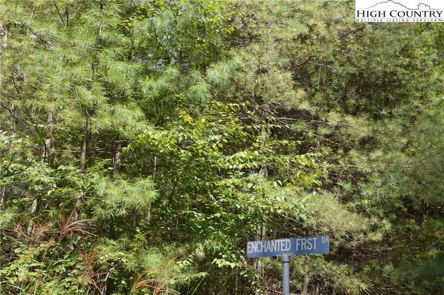 Lot #12 Enchanted Forrest Drive, Piney Creek, NC 28663 - Image #3
