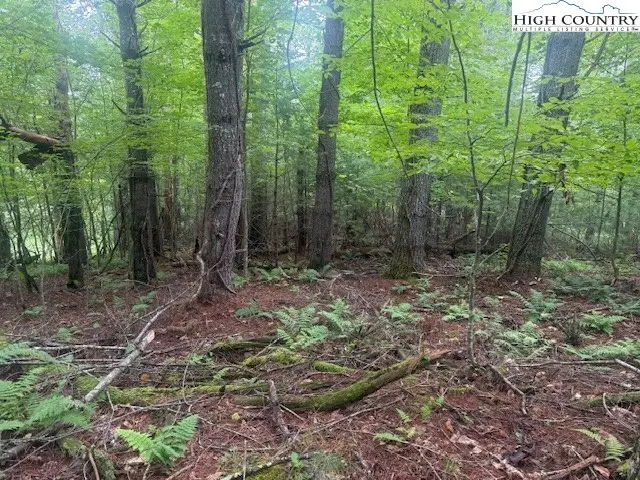 TBD Beaver Creek Drive, West Jefferson, NC 28694 - Image #2