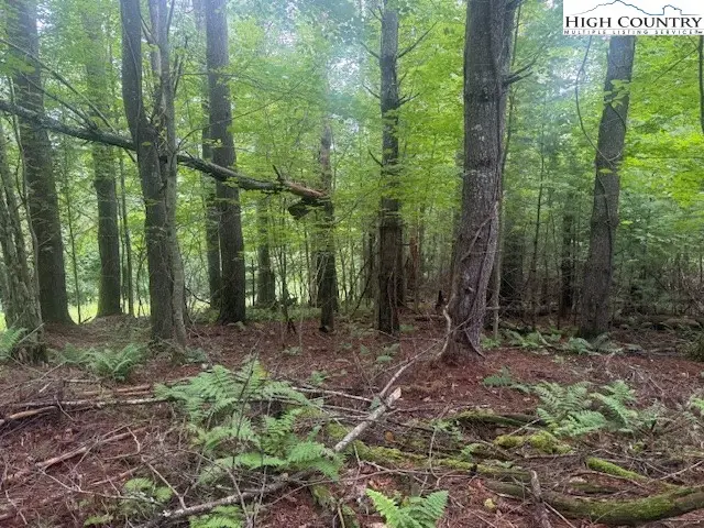 TBD Beaver Creek Drive, West Jefferson, NC 28694 - Image #3