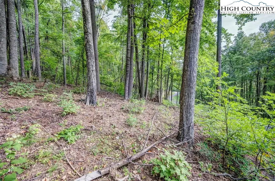 Lot 49 Wildcat Wilderness Parkway, Deep Gap, NC 28618 - Image #2