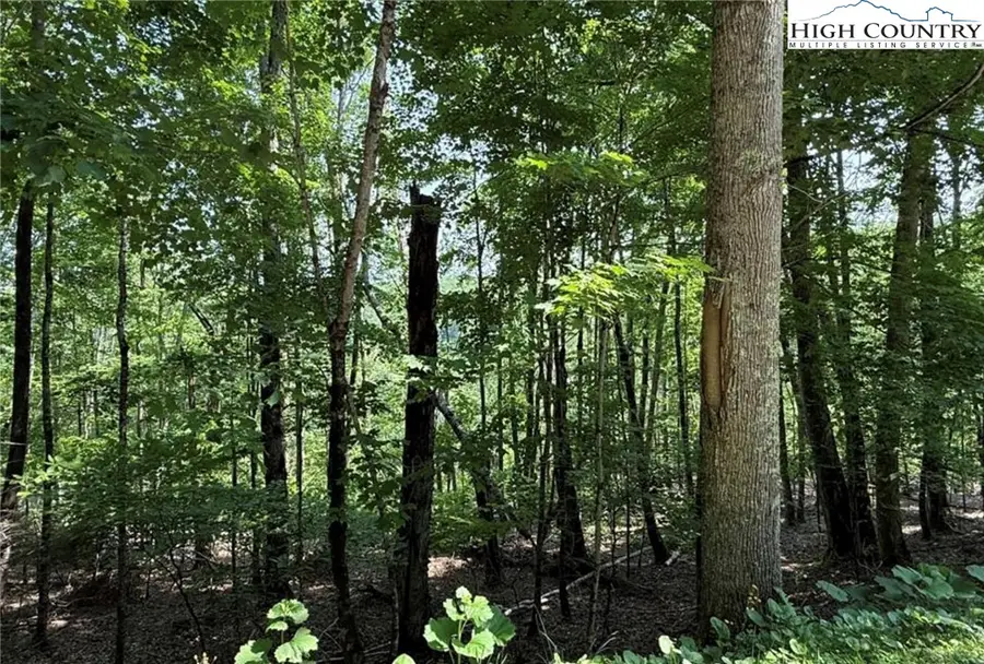 172 Hemlock Hills, Beech Mountain, NC 28604 - Image #2