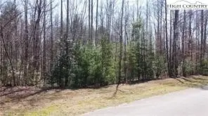 Lot #18 Blue Mountain Drive, Wilkesboro, NC 28697