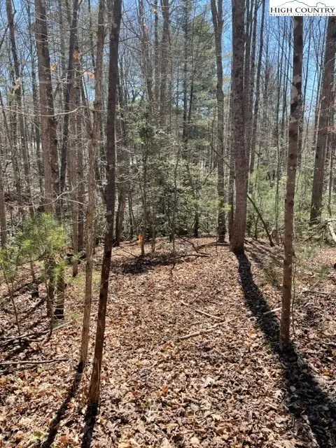 Lot #18 Blue Mountain Drive, Wilkesboro, NC 28697 - Image #3