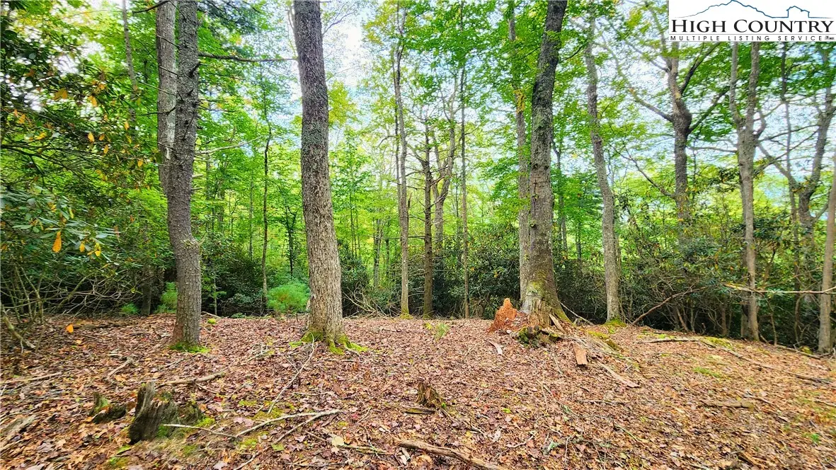 Lot 49 Abaco Drive, Vilas, NC 28692 - Image #1