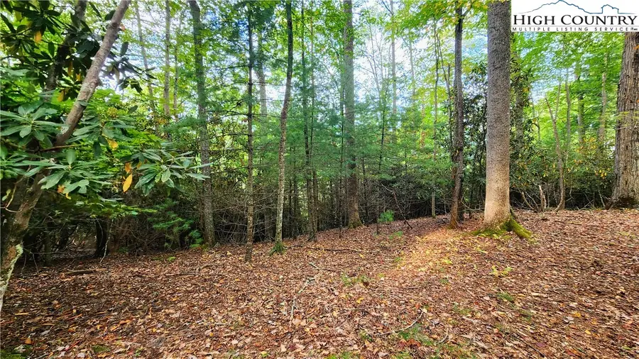 Lot 49 Abaco Drive, Vilas, NC 28692 - Image #2