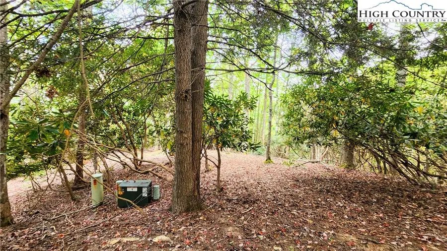 Lot 49 Abaco Drive, Vilas, NC 28692 - Image #3