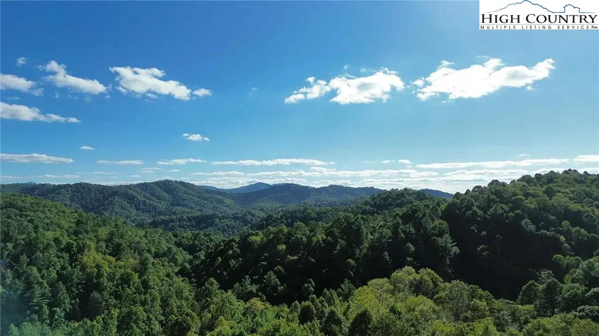 TBD Bryan Davis Road, Creston, NC 28615 - Image #1