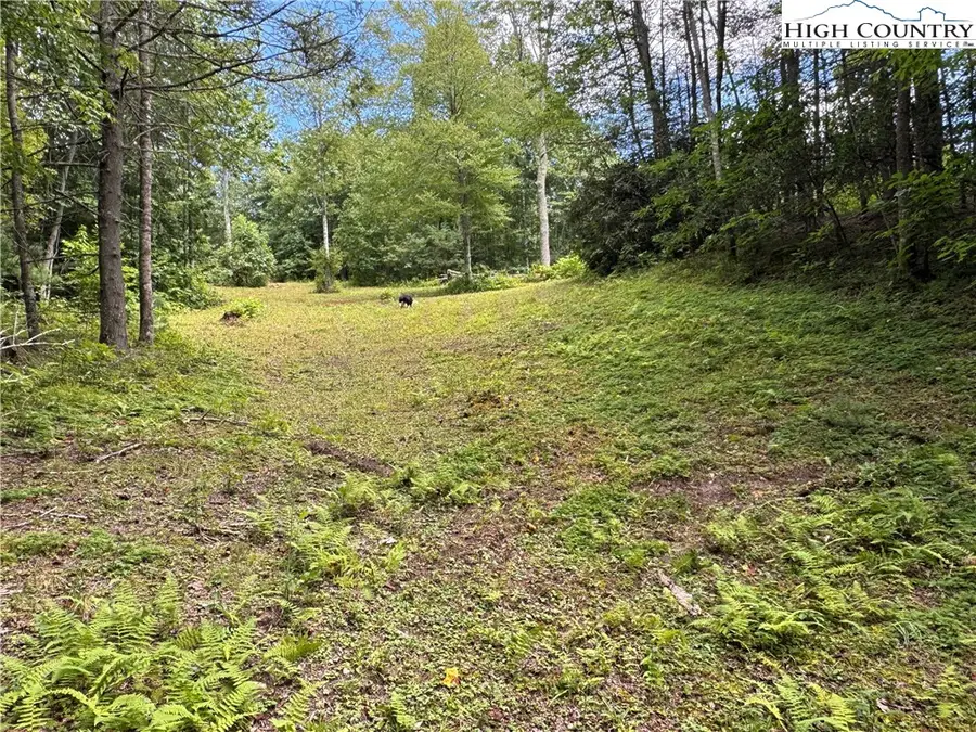 TBD Bryan Davis Road, Creston, NC 28615 - Image #2