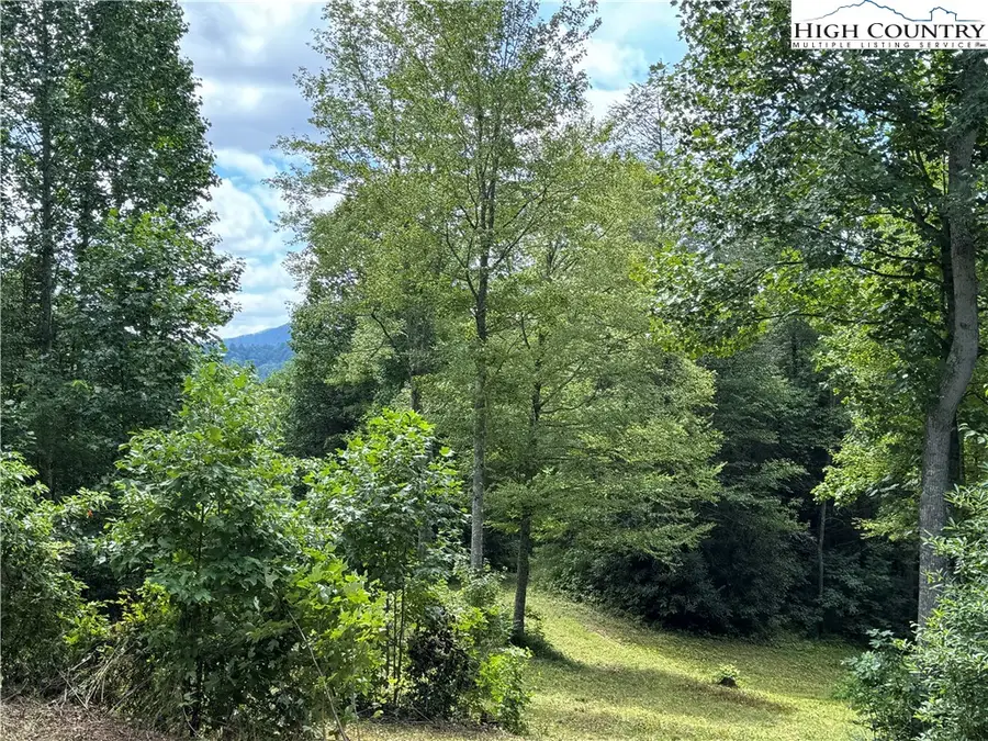 TBD Bryan Davis Road, Creston, NC 28615 - Image #3