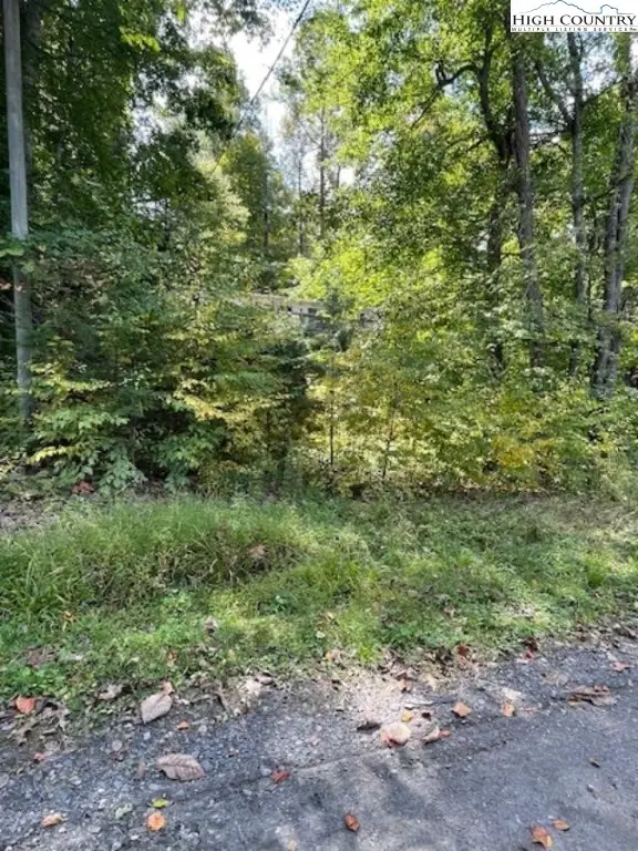 2230 Old Hwy 16 Highway, Jefferson, NC 28640 - Image #2