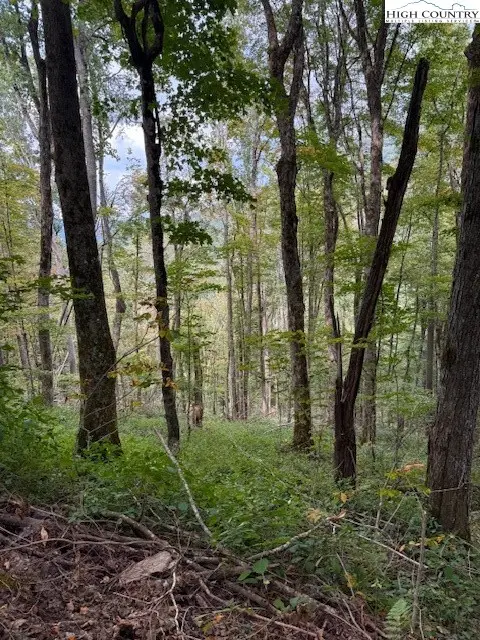 Lot 74a Tbd Poplar Trail, Creston, NC 28615 - Image #1