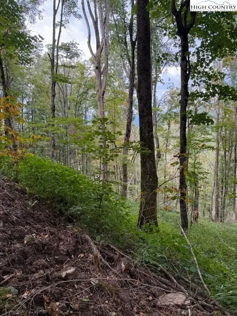 Lot 74a Tbd Poplar Trail, Creston, NC 28615 - Image #2