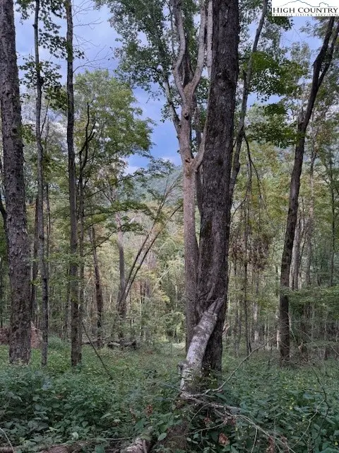 Lot 74a Tbd Poplar Trail, Creston, NC 28615 - Image #3