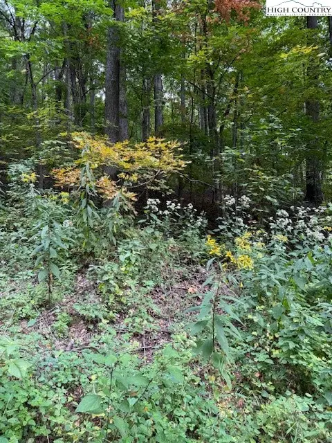Lot 770 Tbd Ivy Court, Creston, NC 28615 - Image #2