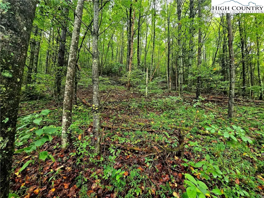 Lot 6 & 7 N. Old Nc Hwy 16, Millers Creek, NC 28651 - Image #2