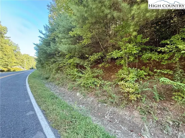 TBD Wildcat Road, Deep Gap, NC 28618