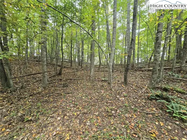 TBD Parsons Hill Road, Lansing, NC 28643