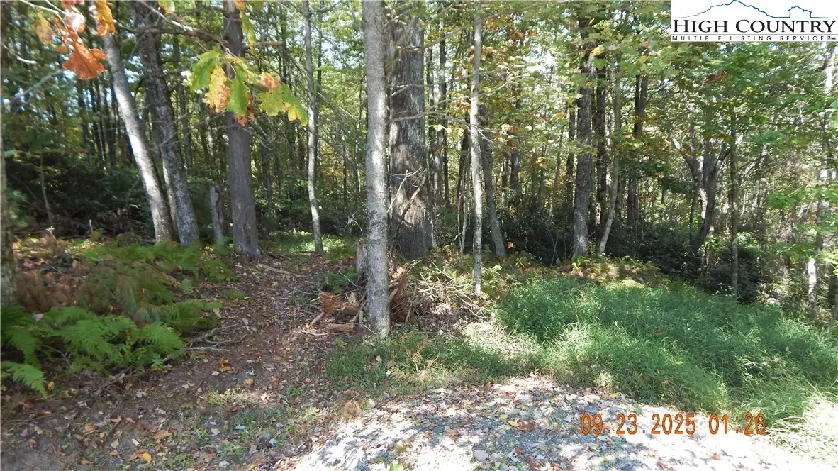 000 Glen View Road, Boone, NC 28607 - Image #1