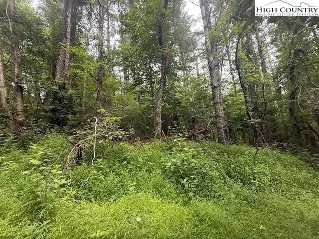 TBD Longview Drive, West Jefferson, NC 28694 - Image #1