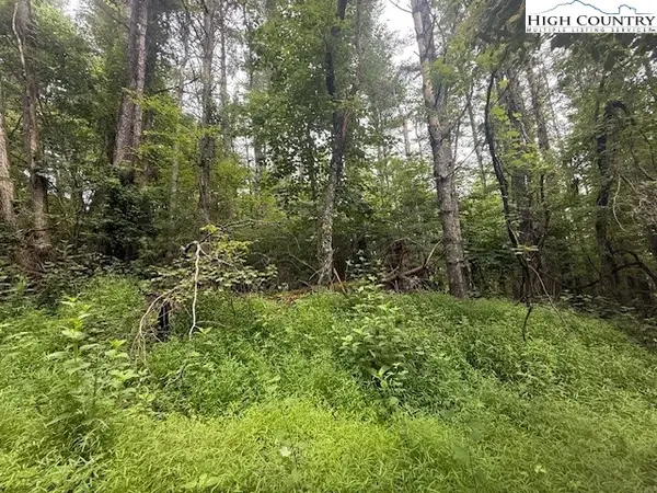 TBD Longview Drive, West Jefferson, NC 28694