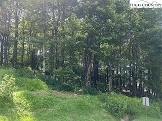 LOT 71 Summit Park, Boone, NC 28607 - Image #3