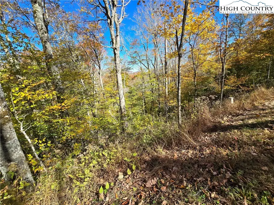 Lot 76 Elk Horn Road, Sugar Mountain, NC 28604 - Image #2