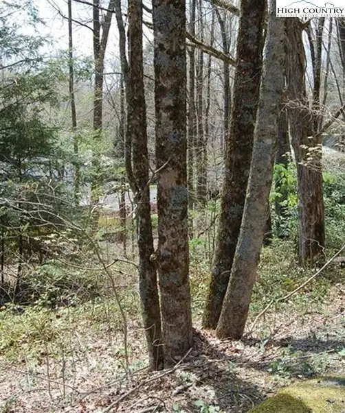 439 Locust Road, Newland, NC 28657