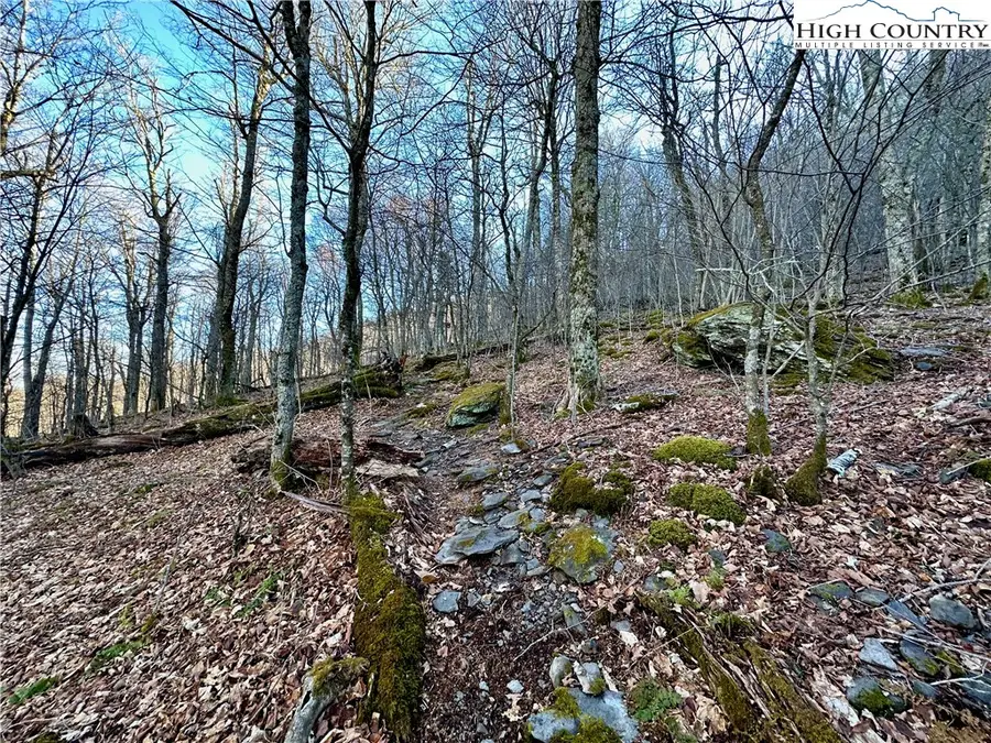 Lot 15 Spice Bottom Trail, Banner Elk, NC 28604 - Image #2