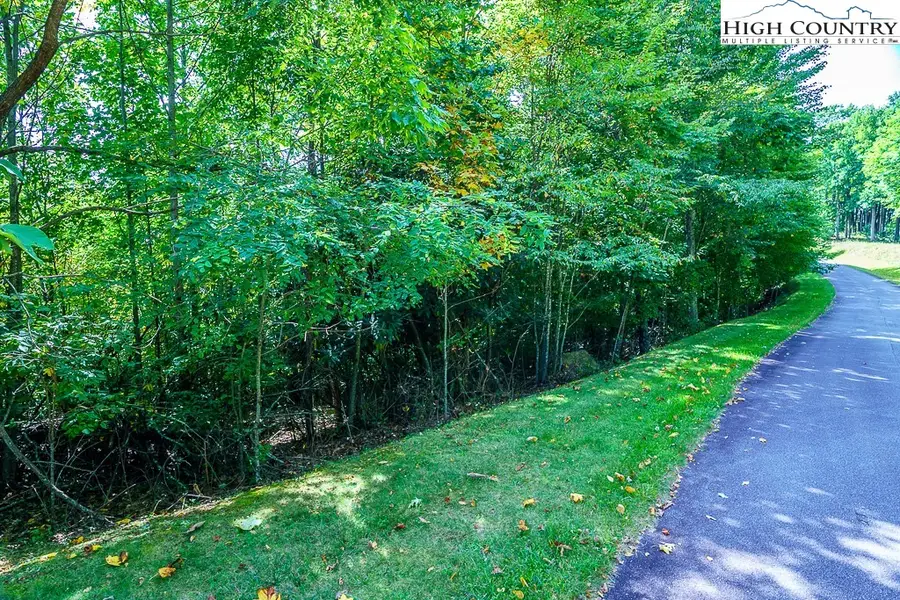 Lot H11 Heritage Ridge, Elk Park, NC 28622 - Image #3